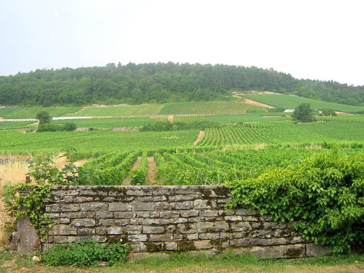 Le Richebourg - Charmant T2 Cosy, Tout Confort Gevrey-Chambertin Buitenkant foto
