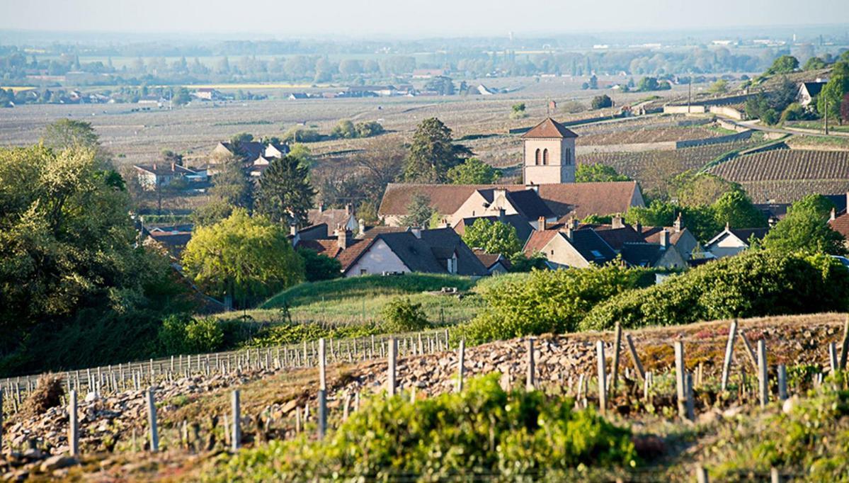 Le Richebourg - Charmant T2 Cosy, Tout Confort Gevrey-Chambertin Buitenkant foto